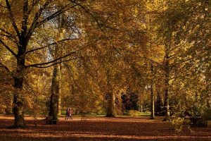 Best UK Places To See Autumn Colour in October